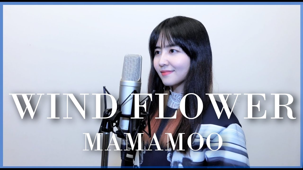 Wind Flower - MAMAMOO 마마무 /COVER BY 이해루 HERU LEE