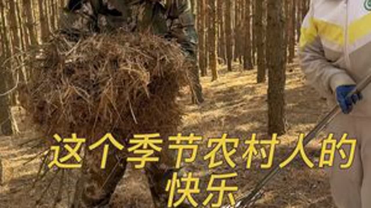 咸鸭蛋各个冒油品质嘎嘎好 #记录我的农村生活 #大山里的小日子 #乡村味道 @DOU+小助手