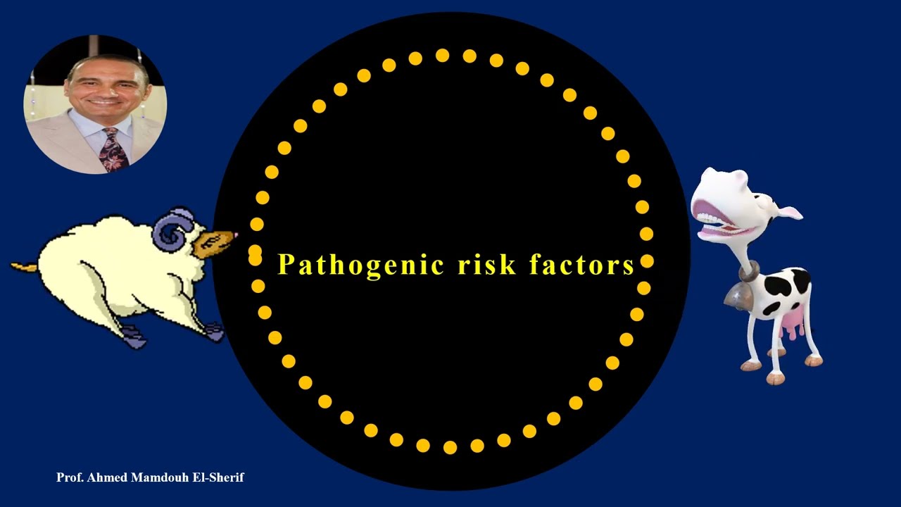 Ascariasis by Prof.Ahmed Mamdouh El-Sherif