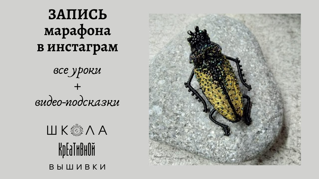 Запись всех уроков марафона 