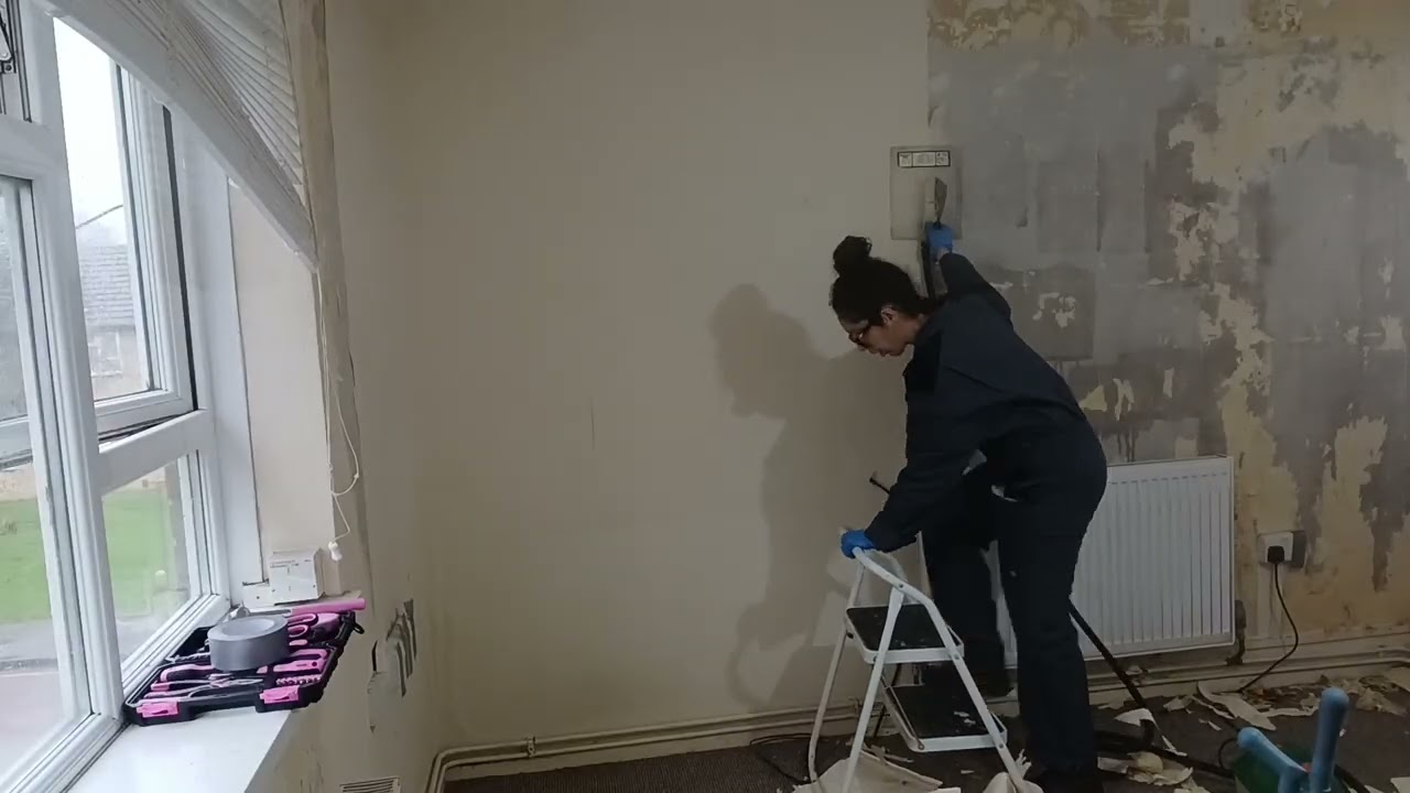 Steaming & Snacking | House Renovations