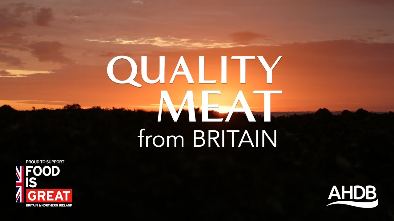 We Care: Exporting Britain to the World