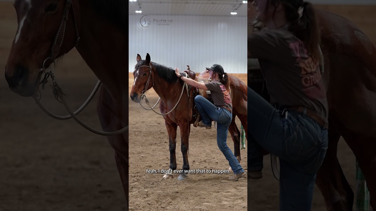 How to dismount your horse.