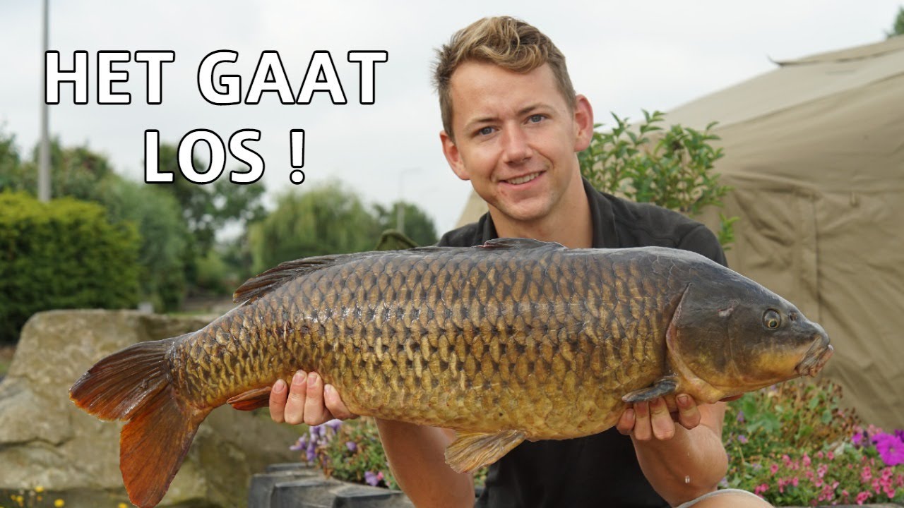 WERKT VOORVOEREN OP HET KANAAL? karpervissen met DWFishingteam
