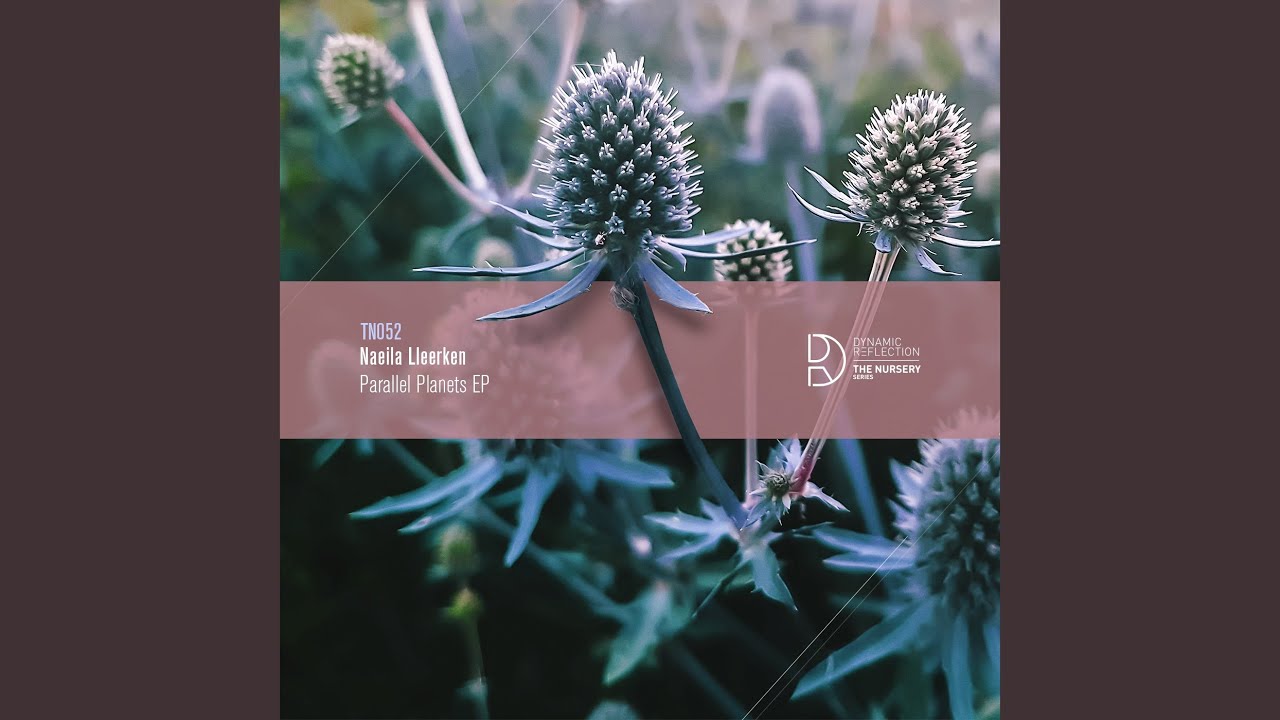 Aslan (Original Mix)