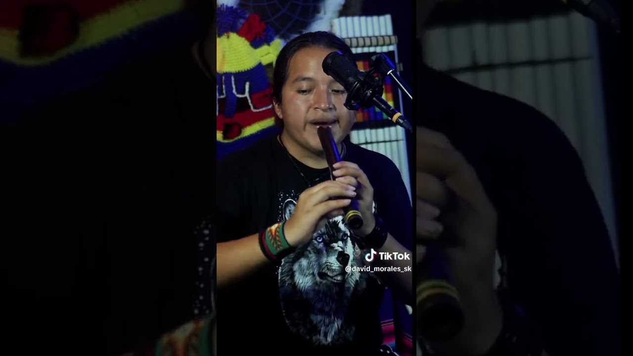 Passion #davidmoralessk #andeanmusic #instrumental #music #live #panflute #quena