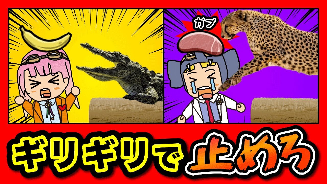 チキンレースでビビり王を決めろ！？「鳥魂2」に挑戦！【はんちゃんラボGames】