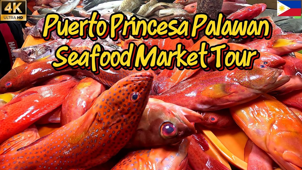 Can Puerto Princesa Be the Seafood Capital of the Philippines?
