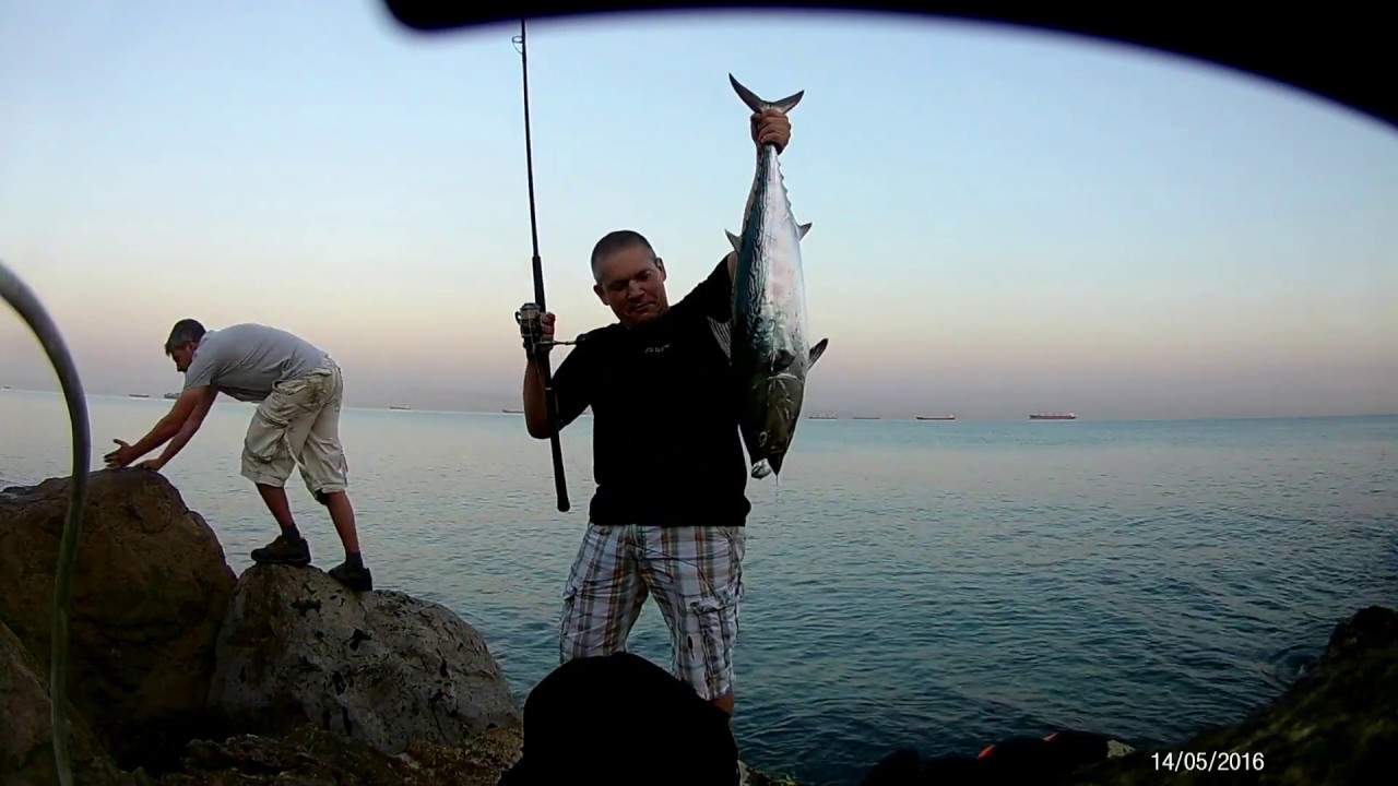 False Albacore 7.5 kg. Shore Jigging. Fishing In Israel. 16-8-19.Maria Loaded 140F. Original Sound