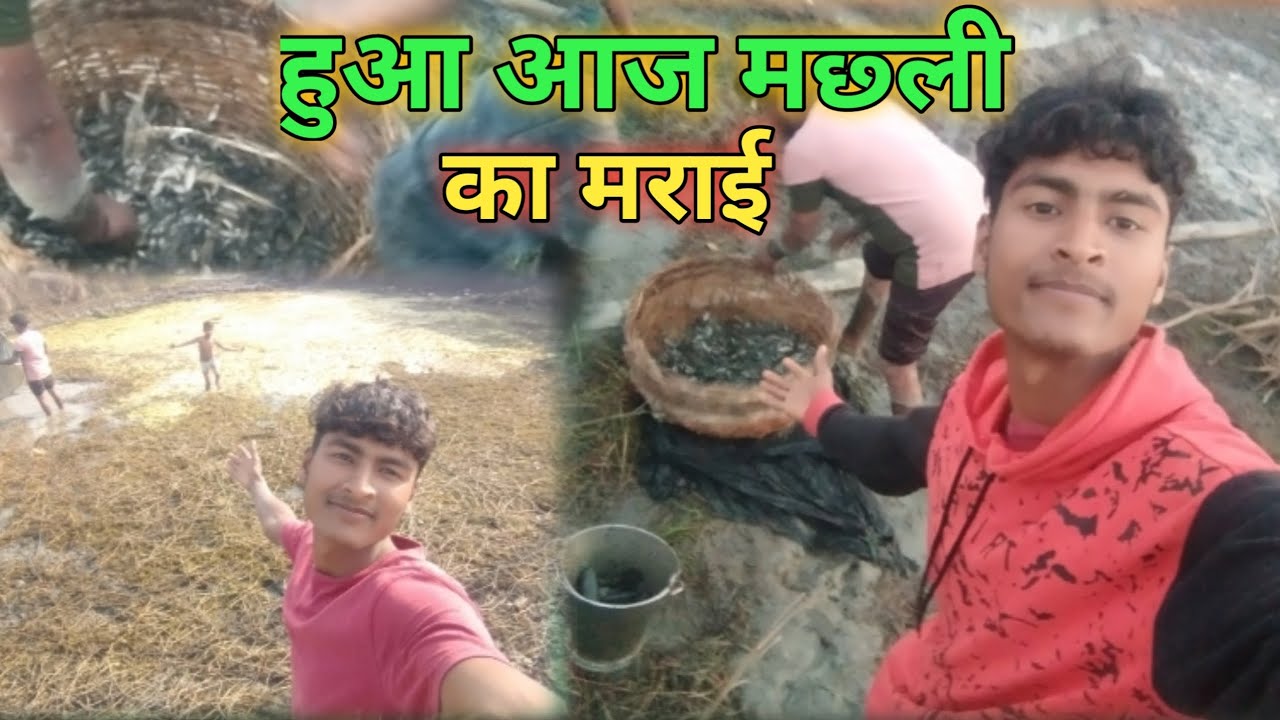 हुआ आज मछली का मराई