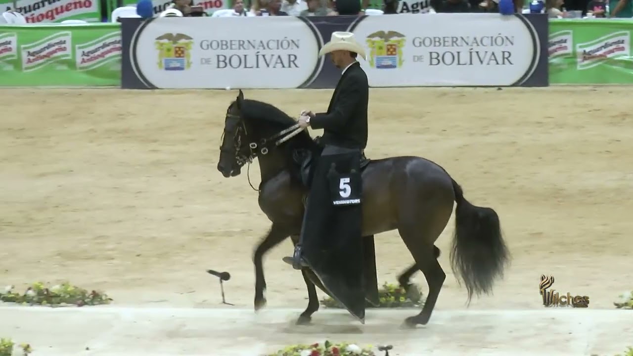DIAMANTE DEL MUSICAL, CAMPEÓN JOVEN TROCHA COLOMBIANA EXPO ARJONA GRADO B 2026