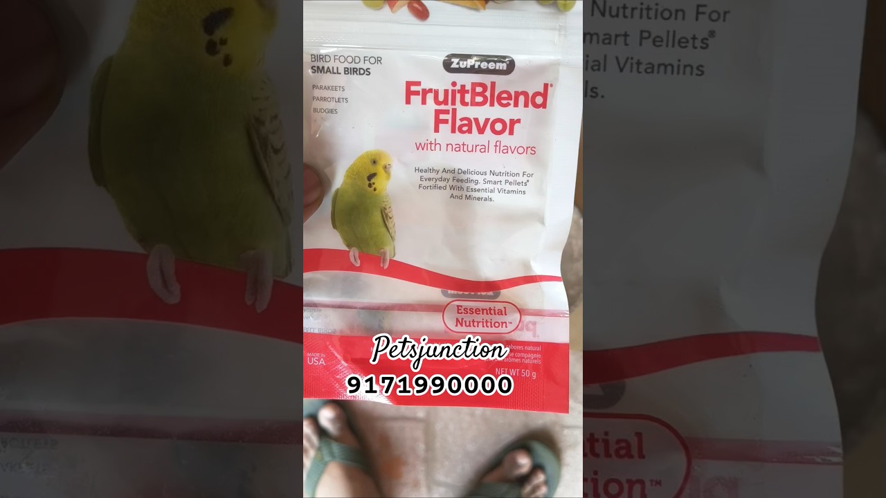 Zupreem Fruit Blend Flavour For small Birds #petsjunction #birds #zupreem #budgies #breeding