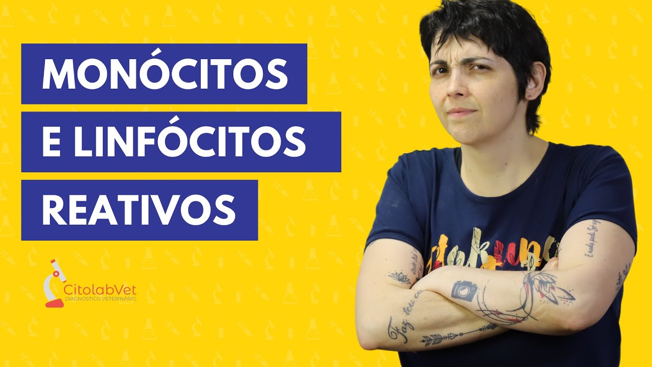 Monócitos e linfócitos reativos