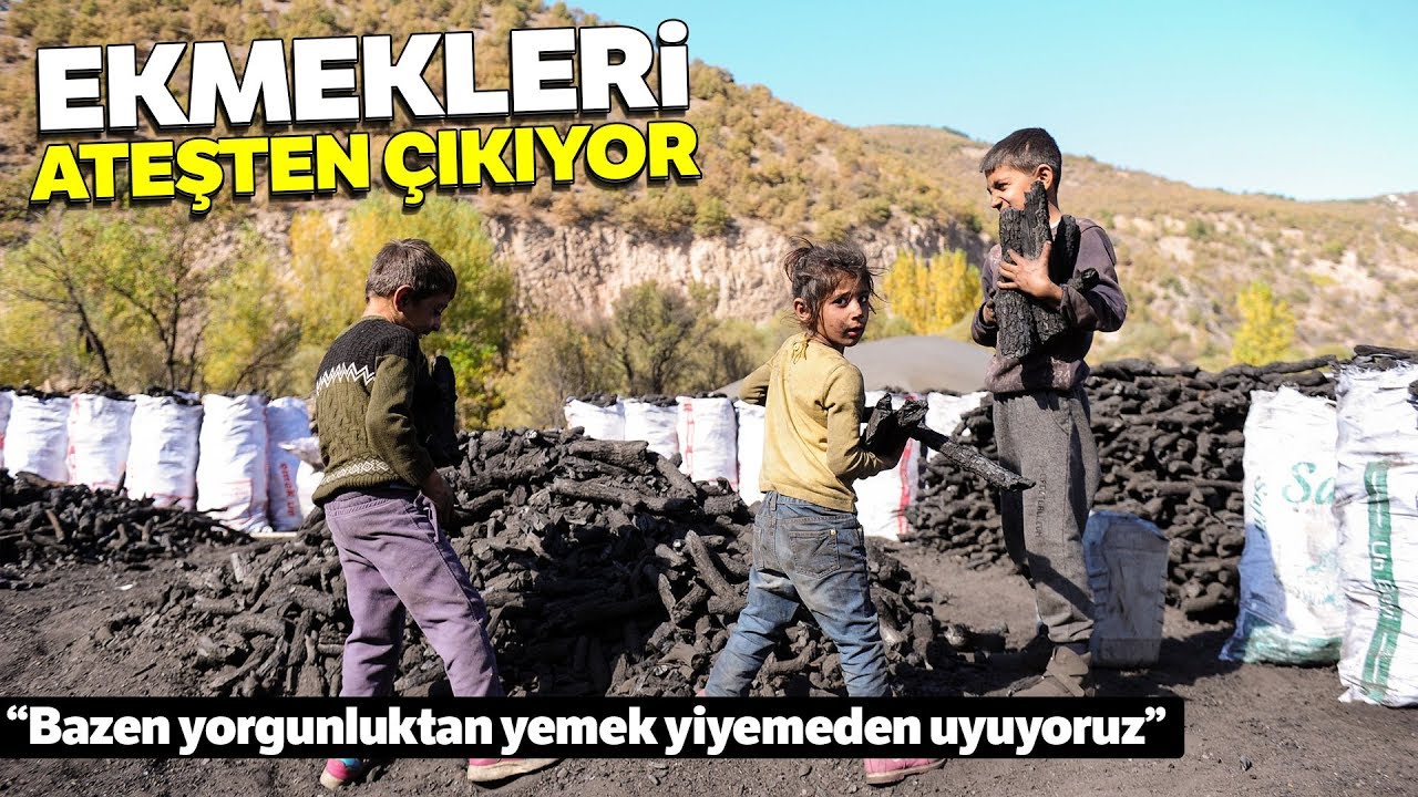 Mangal Kömürü İşçileri Ekmeklerini Ateşten Çıkarıyor