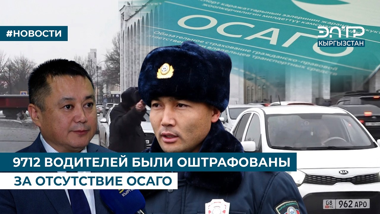 9712 ВОДИТЕЛЕЙ БЫЛИ ОШТРАФОВАНЫ ЗА ОТСУТСТВИЕ ОСАГО