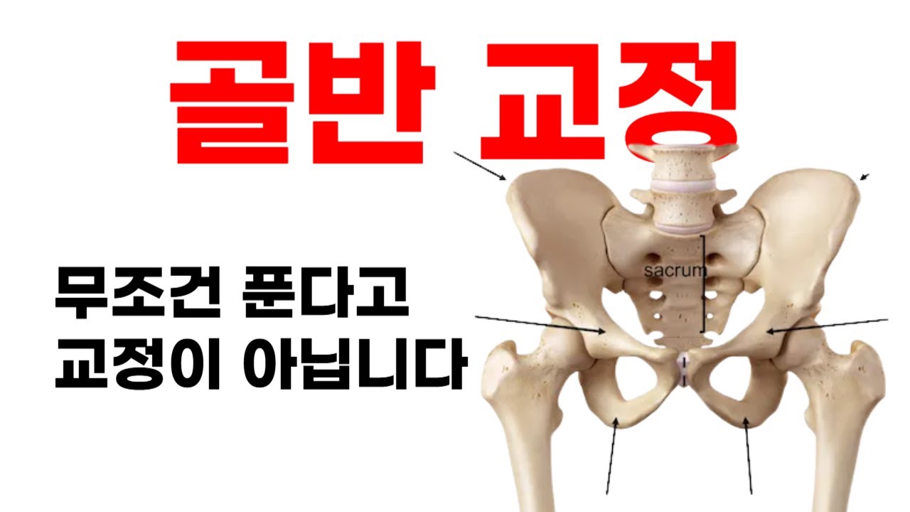 골반을 평가할 줄 모른다면 교정은 절대로 되지 않습니다