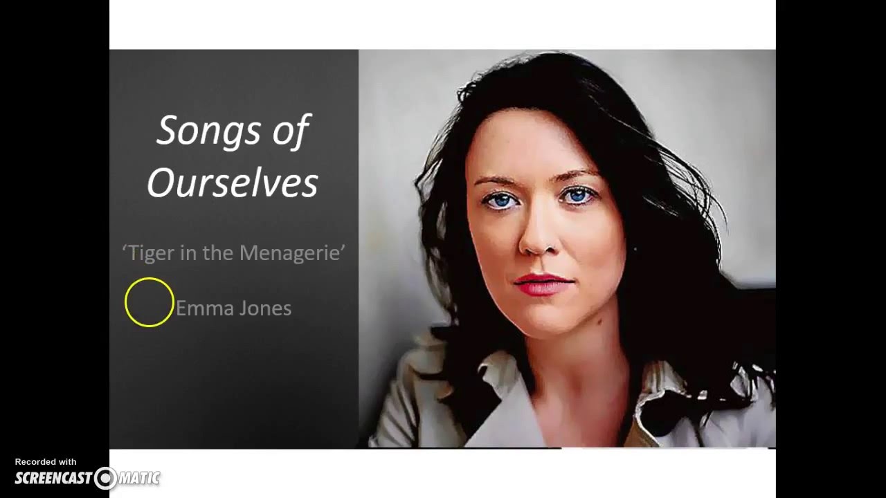 'Tiger in the Menagerie' by Emma Jones