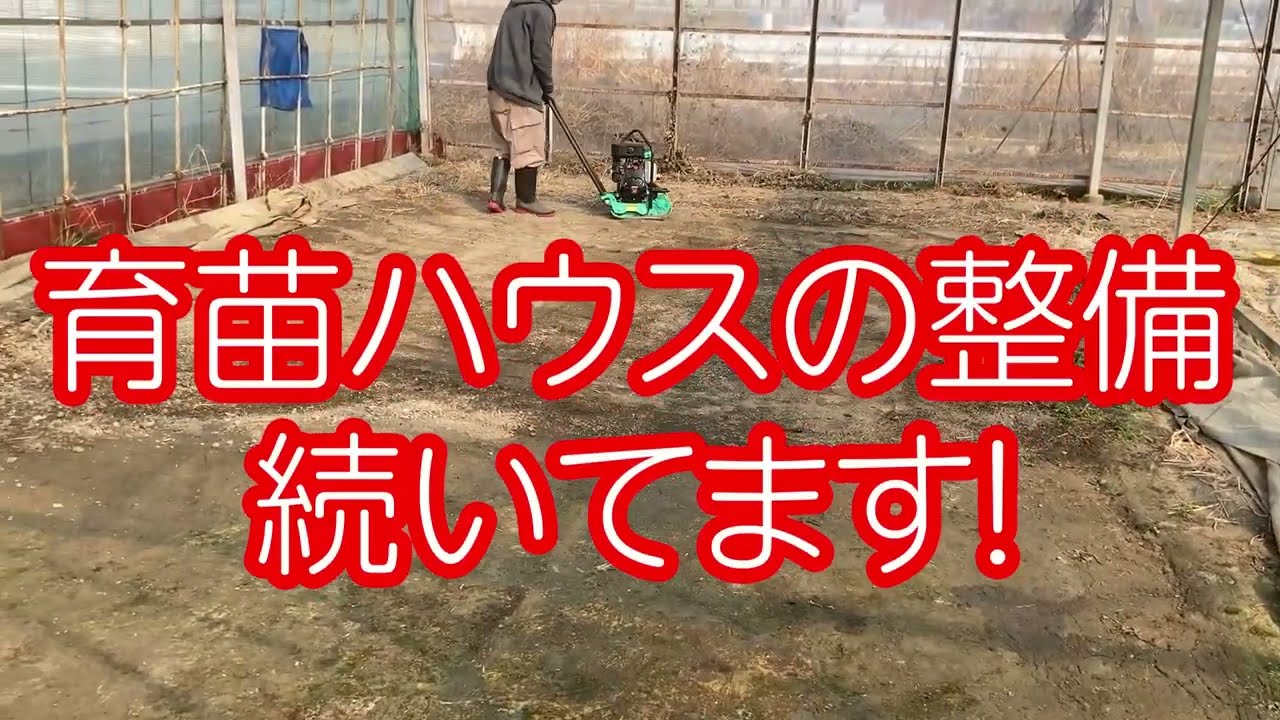 【ハウスの整備続いてます　プレートコンパクターで点圧】素人からの農業スタート　ぽかぽかファーマー古田　vol.  #ぽかぽかワークス vol.305