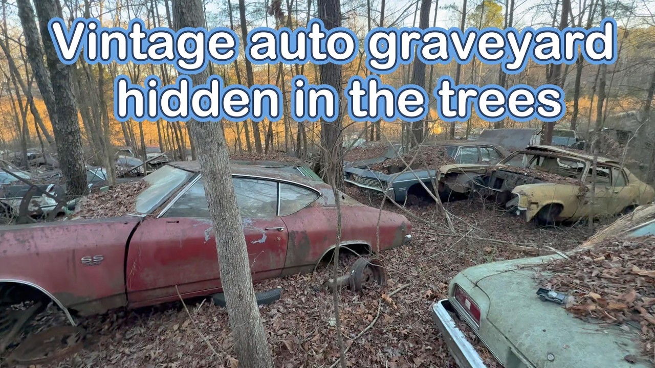 What's hidden in this amazing TN junkyard? An incredible place full of hard to find cars and parts.