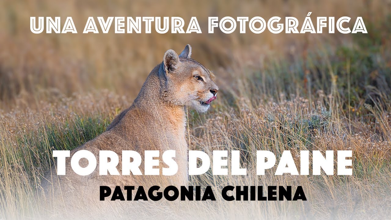 Torres del Paine - Una aventura fotográfica - Consejos desde el terreno