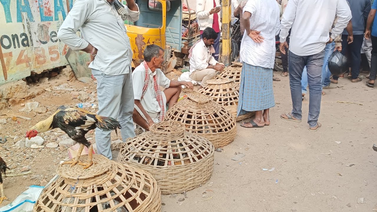Erragadda Sunday pets and bird market Hyderabad Telangana 04/01/2026