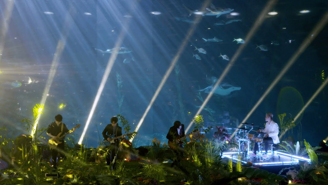 넬(NELL) - Sing for me (NELL 空間 Part 1. Live at Aqua Planet)