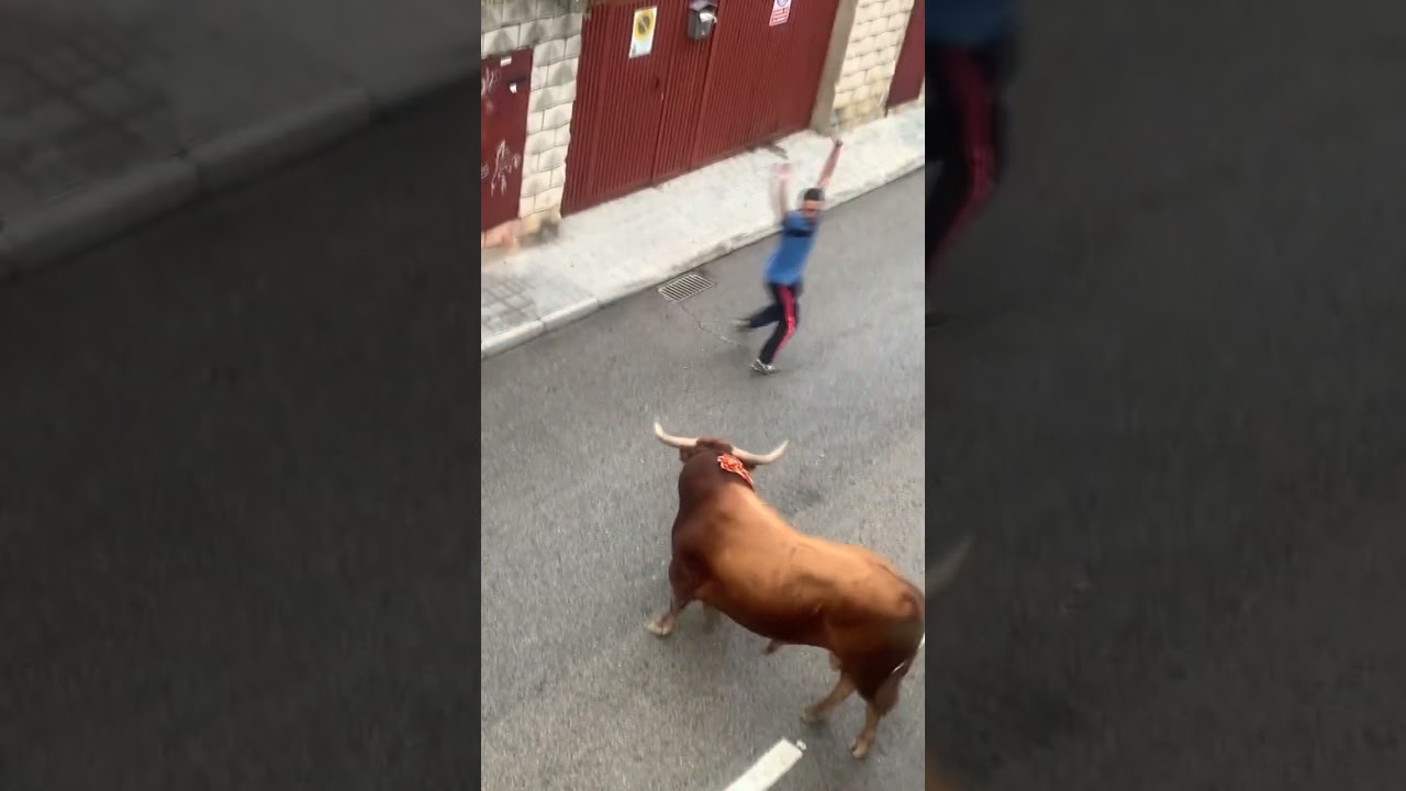&iexcl;ESCALOFRIANTE! 🔥 TREMENDO REVOLC&Oacute;N en el ENCIERRO 😱🐂 &iexcl;P&aacute;nico Total!