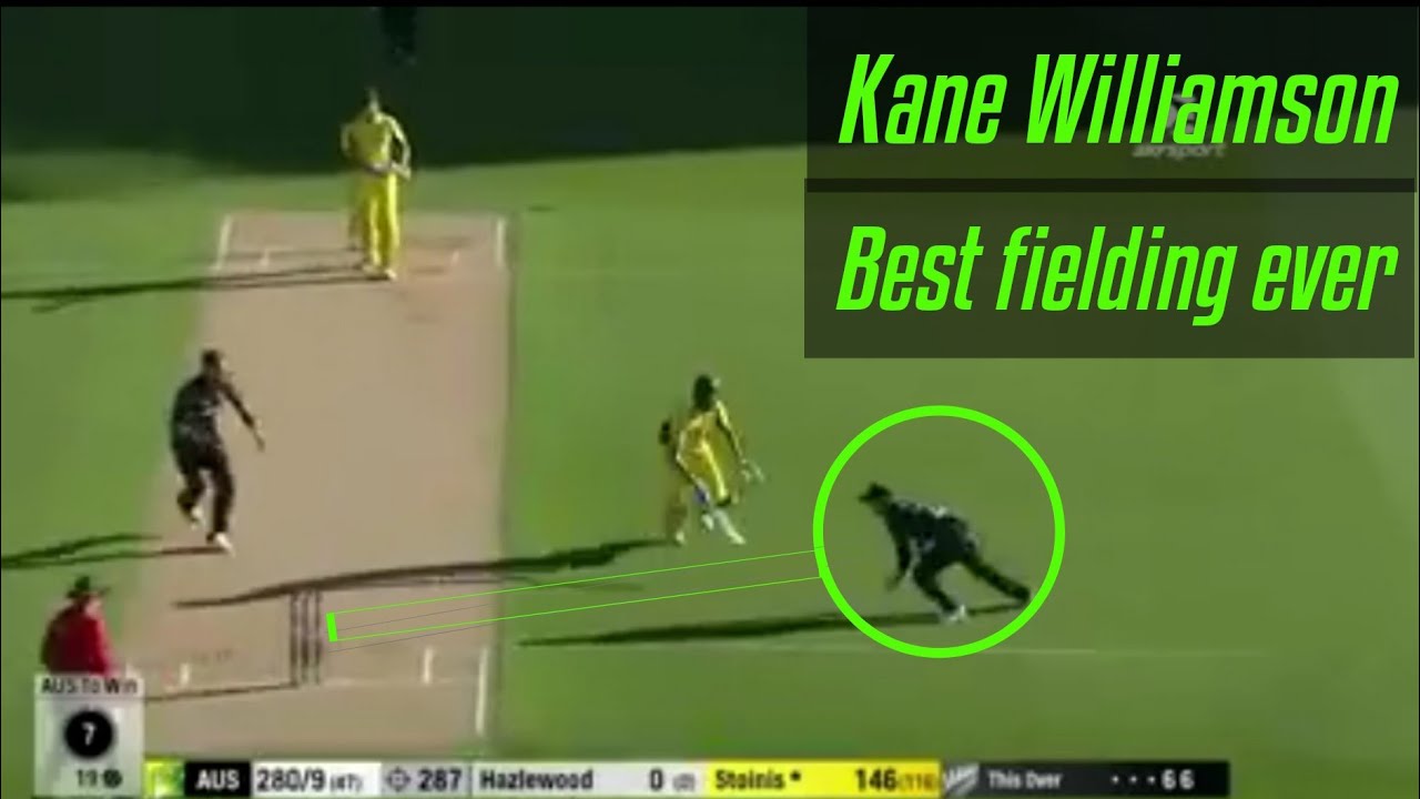 Kane Williamson best fielding ever || Kane Williamson WhatsApp Status
