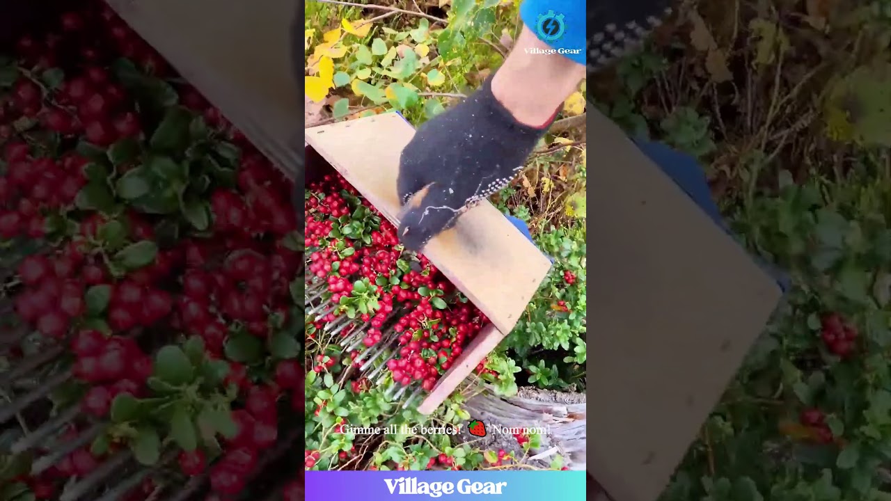 That Berry Scoop is GENIUS! 🤯 I Need One! #berry #gadget #harvest #diy