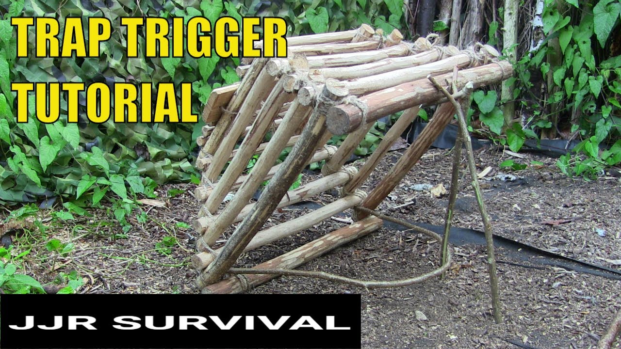 How To Make A Bird Trap Trigger