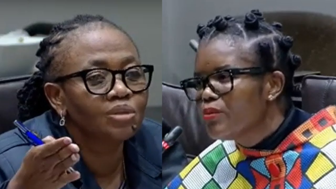 PM Maseko vs Higher Education Minister 