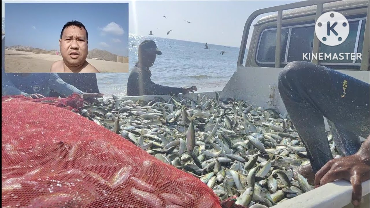 camping ⛺ cooking 👨‍🍳 fishing 🐠 Al-aqah Beach Fujairah UAE 🇦🇪