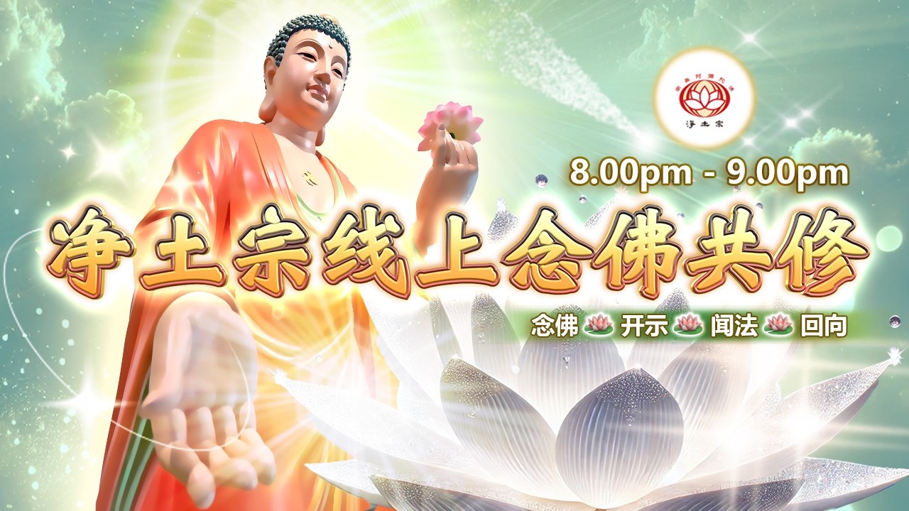 【同步】净土宗线上念佛共修暨法师开示【第2158天】+ 开示视频《真实告白》13-02-2026 Online Session（晚上8pm-9pm (GMT+8))【打开CC字幕】