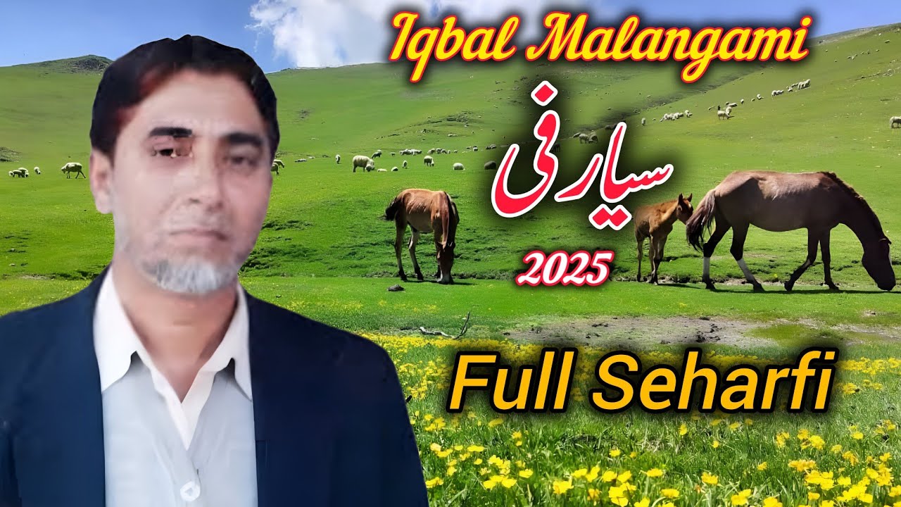 New Pahari C-Harfi Iqbal Malangami | Gojri Pahari Song 2025 | Syed Uploads