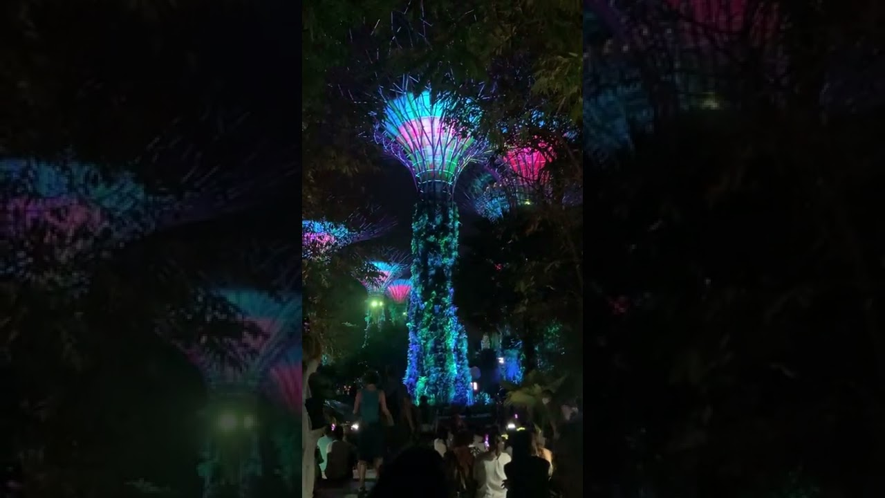 Light Show at Super tree Observatory,  Marina Bay Sands, Singapore