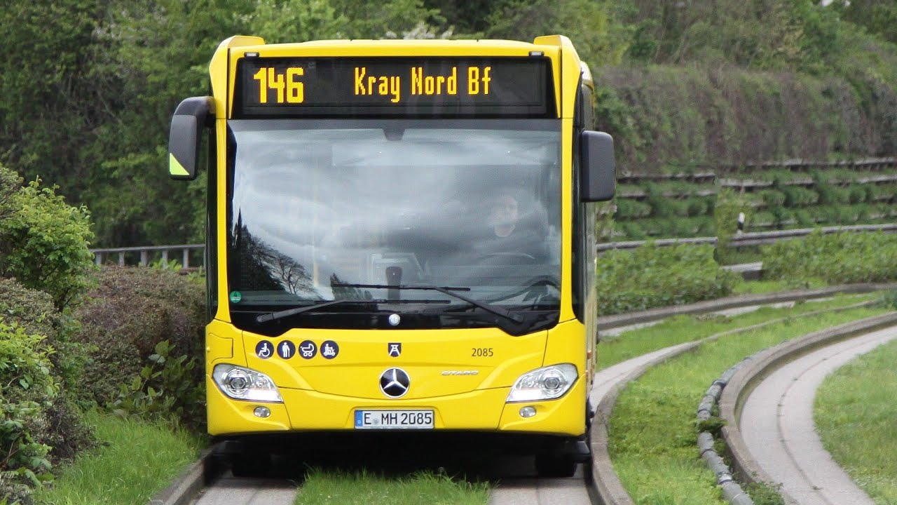 Spurbusse auf der Linie 146 in Essen