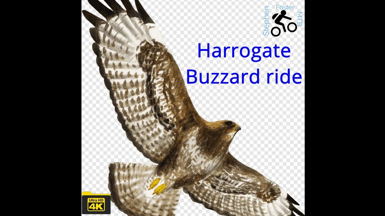 Harrogate Buzzard route