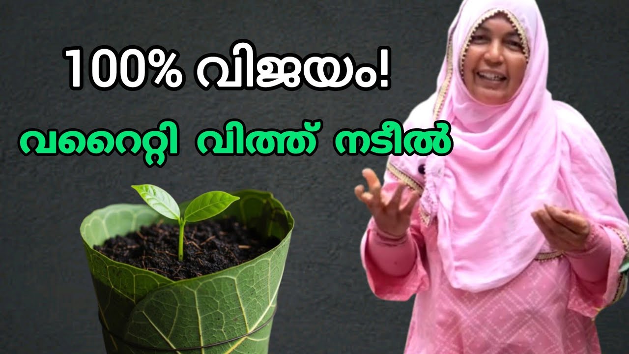 ഇന്ന് നടാം നാളെ വിളവെടുക്കാം !! വീട്ടമ്മയുടെ വിത്ത് മുളപ്പിക്കുന്ന പുതിയ ട്രിക്ക് 👌👌