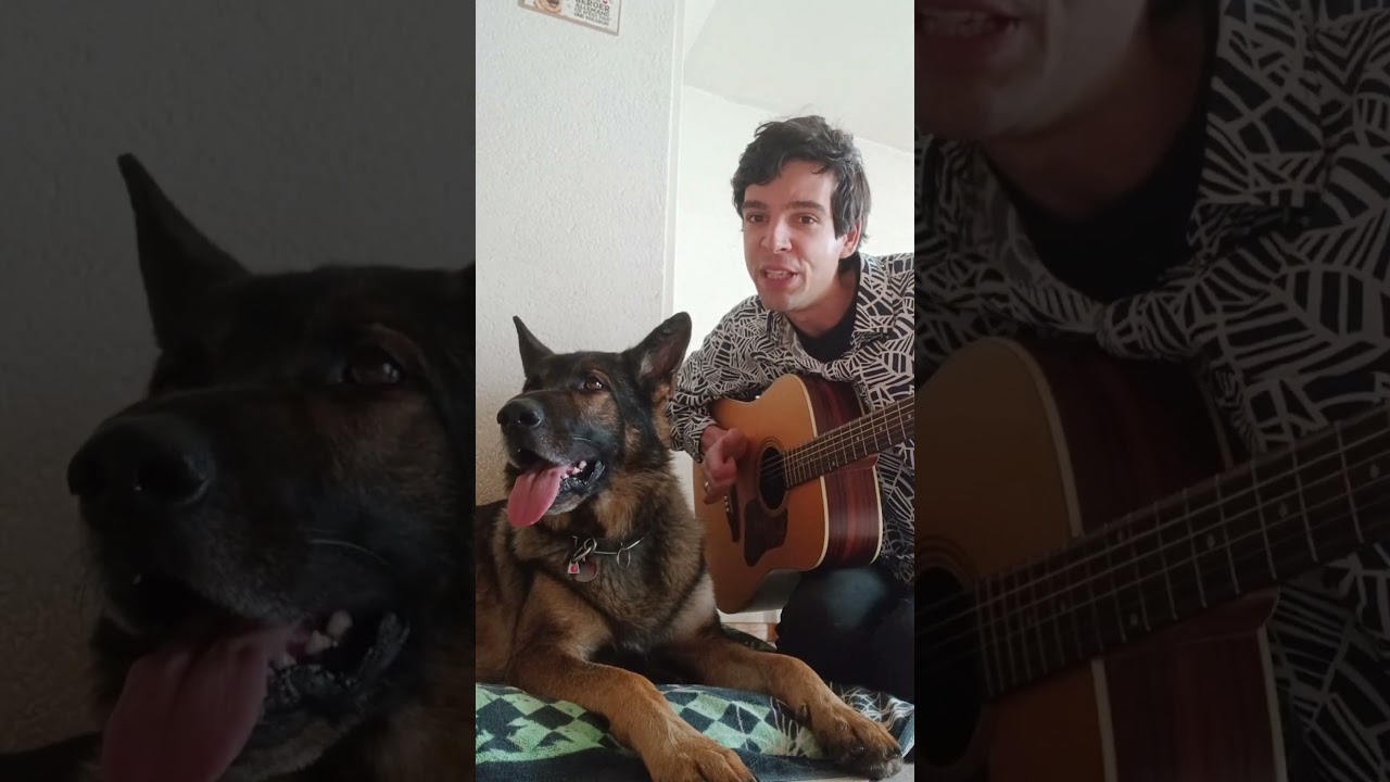 I Wanna Be Your Dog (The Stooges) 