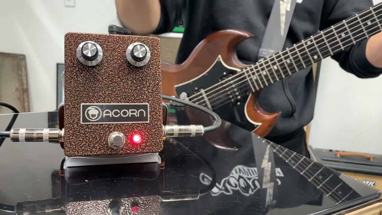 Acorn Amps Zonk Machine Fuzz 1 Minute Demo