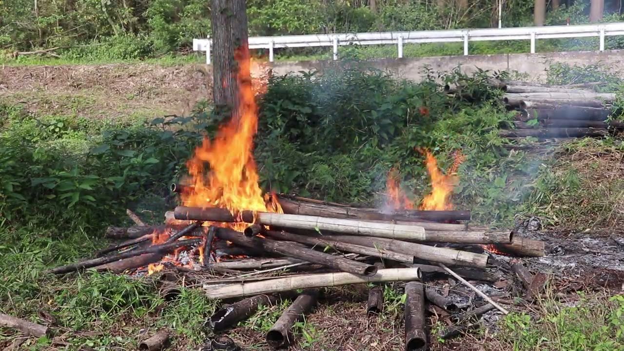 残りの枯れ竹を大きく広げてガンガン焼却して畑を作っていく