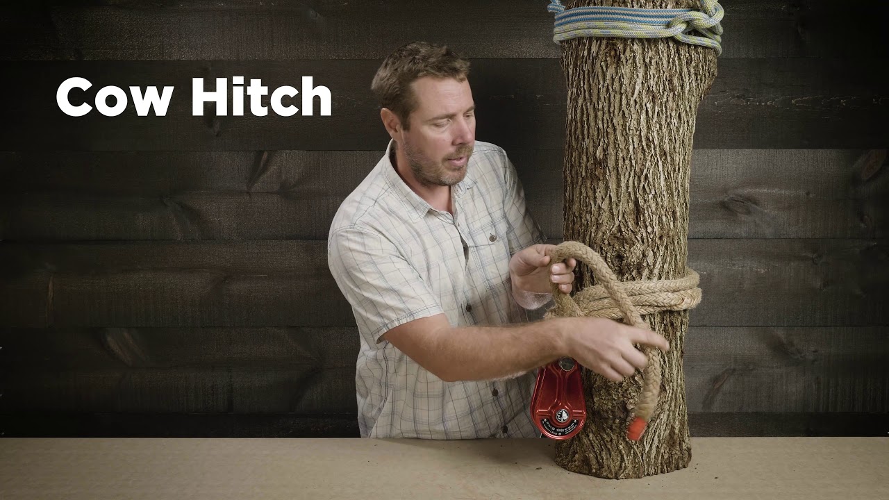 How to Tie a Cow Hitch Knot