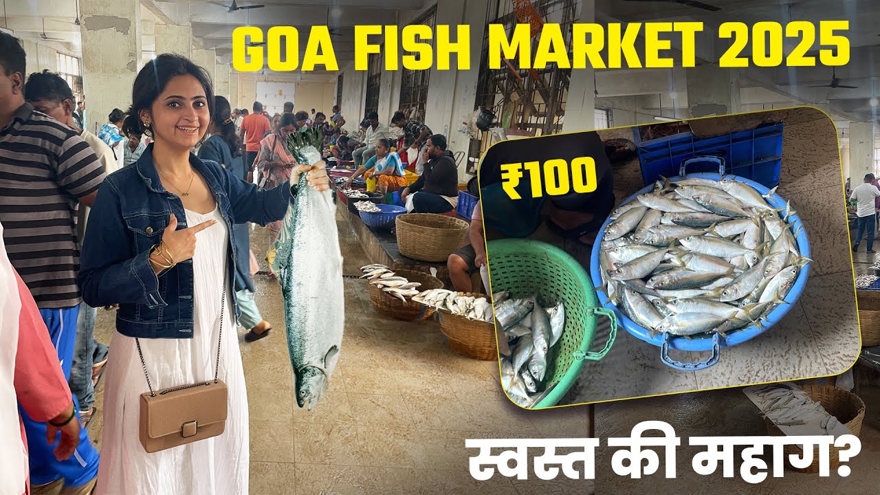 GOA Mapusa Wholesale Fish Market 2025 | गोव्याचे सर्वात मोठे फिश मार्केट 🐠🐟 | GOA 2025 Fish Rates