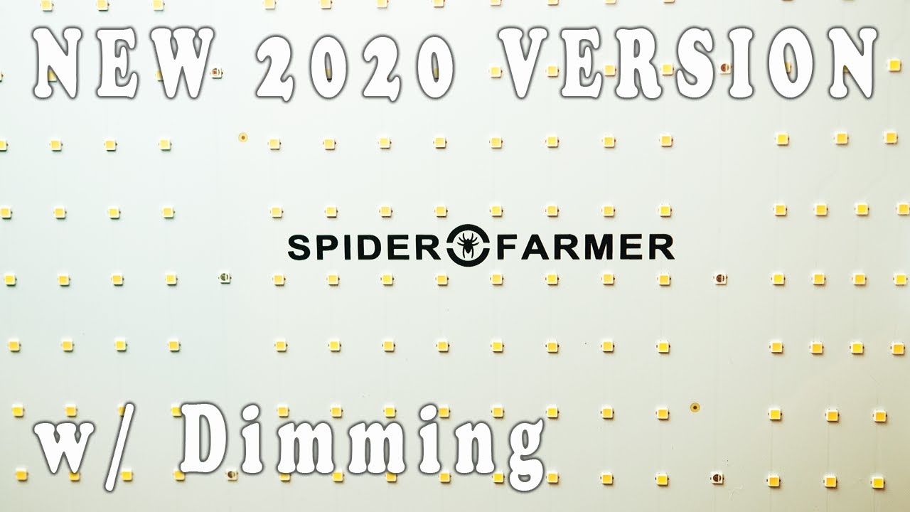 New! Spider Farmer SF-1000 Review (Upgraded Version) + Channel Update!