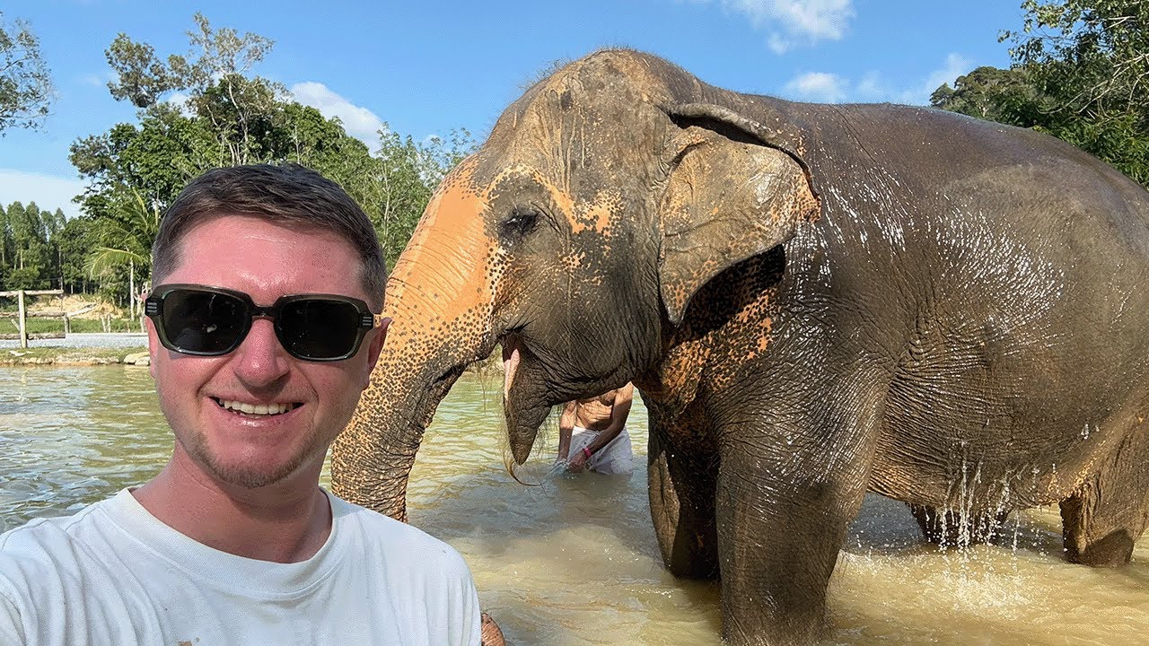 Playing with Elephants in Thailand! Green Sanctuary Phuket 🐘