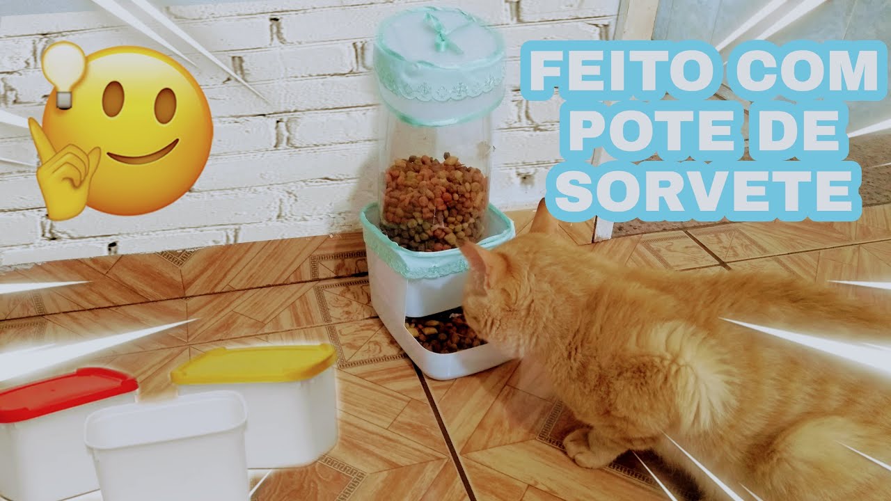 COMO FAZER COMEDOURO AUTOMÁTICO PARA GATOS