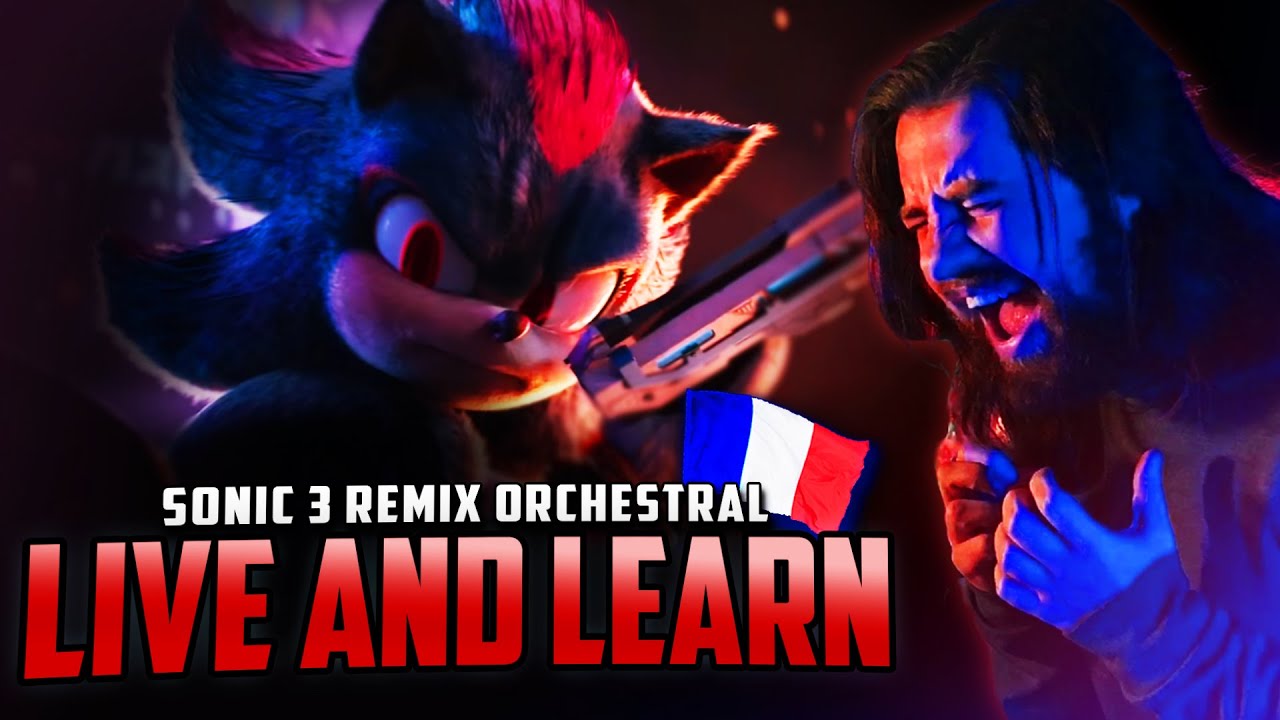 Live and Learn - Version SONIC 3 (French cover)