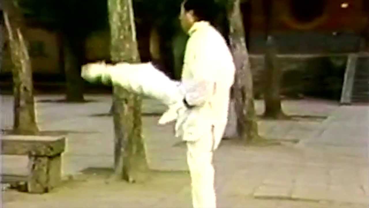 Shaolin Temple Kung Fu - 24 Tan Tui