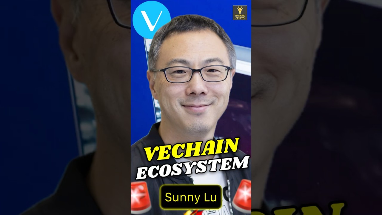 🚨 VECHAIN'S BIG ECOSYSTEM PLANS FOR 2025!