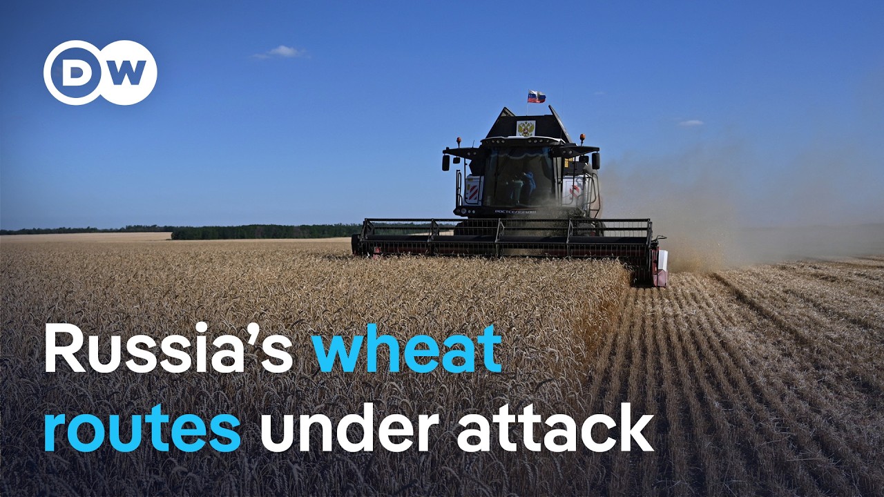 Russia&rsquo;s grain exports under pressure: Ukraine targets key shipping routes | DW News